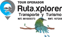 Ruta Xplorer